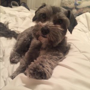 Meet your Posher, Betty